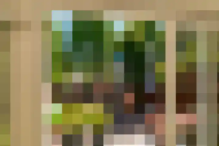 Bijvoetplan 23 Zoetermeer thumbnail 19