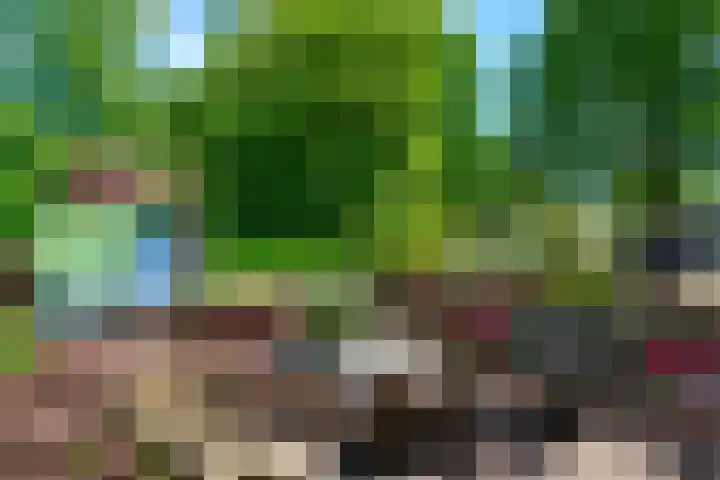 Bijvoetplan 23 Zoetermeer thumbnail 21