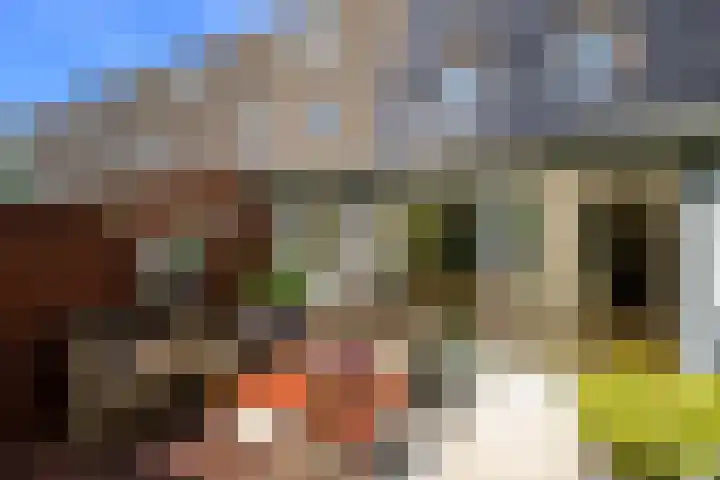 Bijvoetplan 23 Zoetermeer thumbnail 24