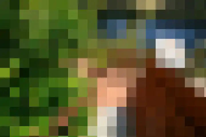 Bijvoetplan 23 Zoetermeer thumbnail 25