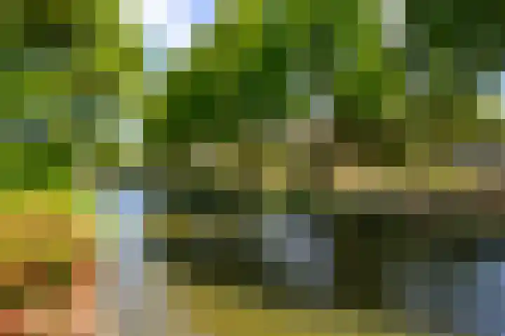 Bijvoetplan 23 Zoetermeer thumbnail 26