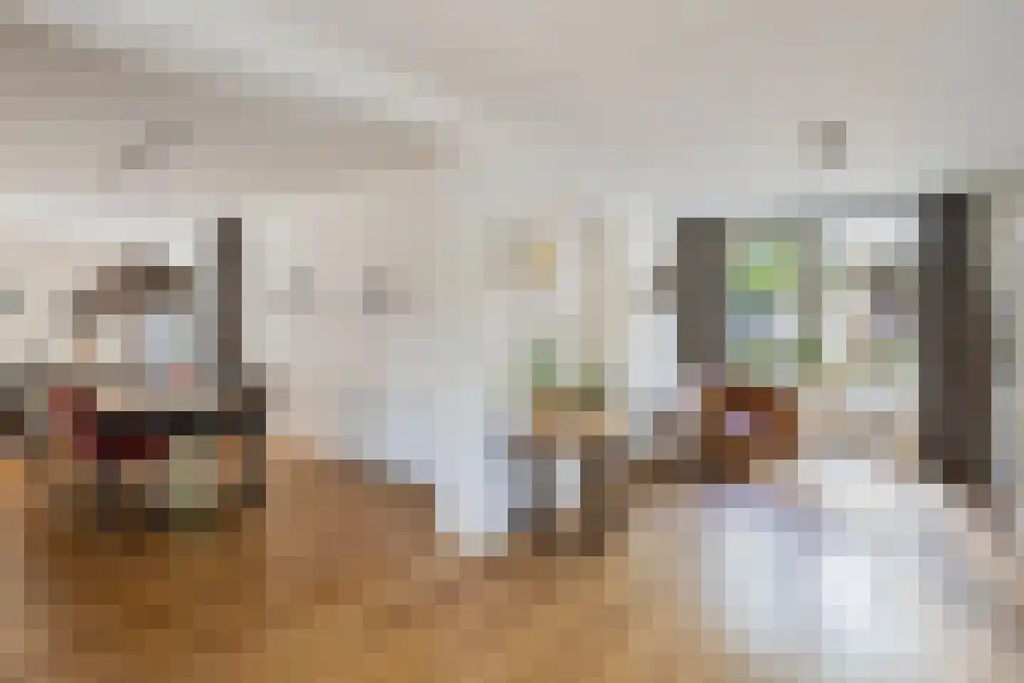 Bijvoetstraat 14 Dongen thumbnail 16