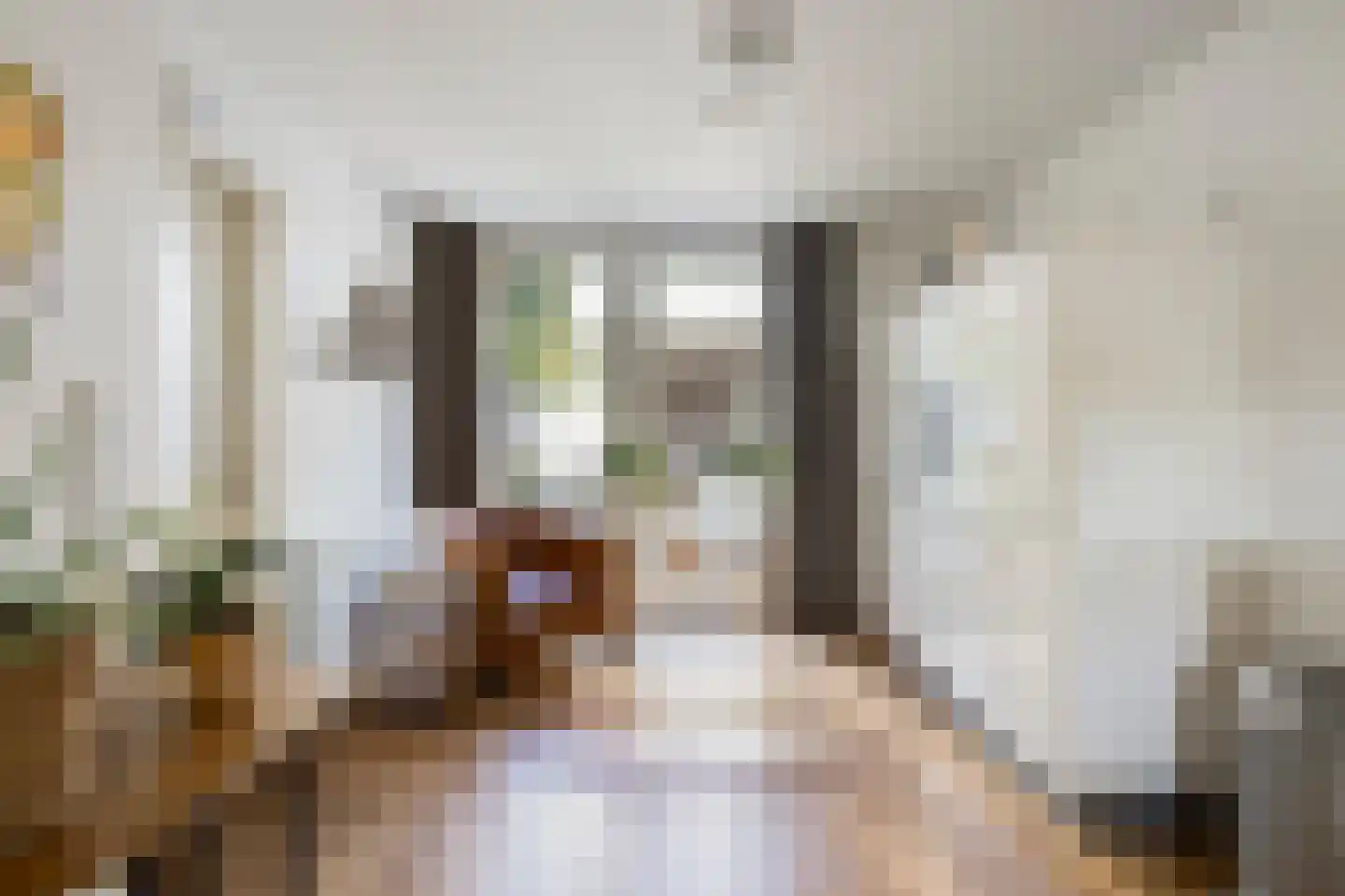 Bijvoetstraat 14 Dongen thumbnail 17