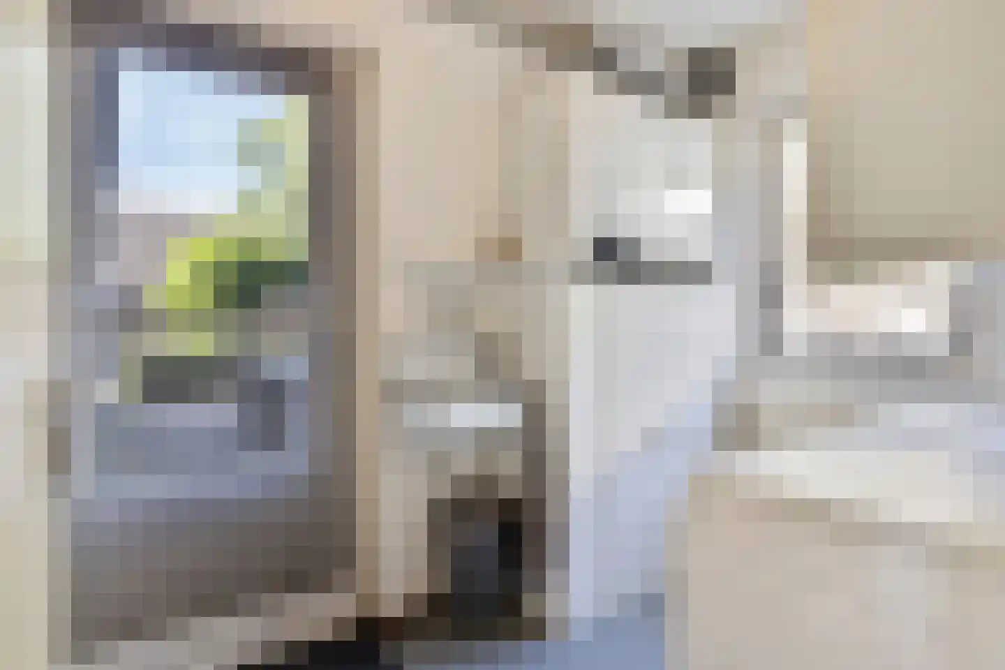 Bijvoetstraat 14 Dongen thumbnail 21