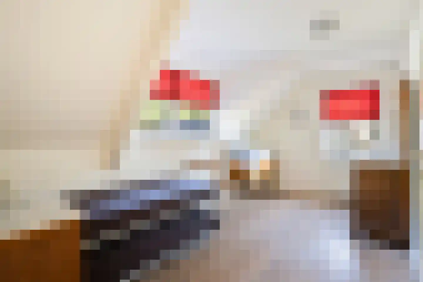 Bijvoetstraat 14 Dongen thumbnail 24