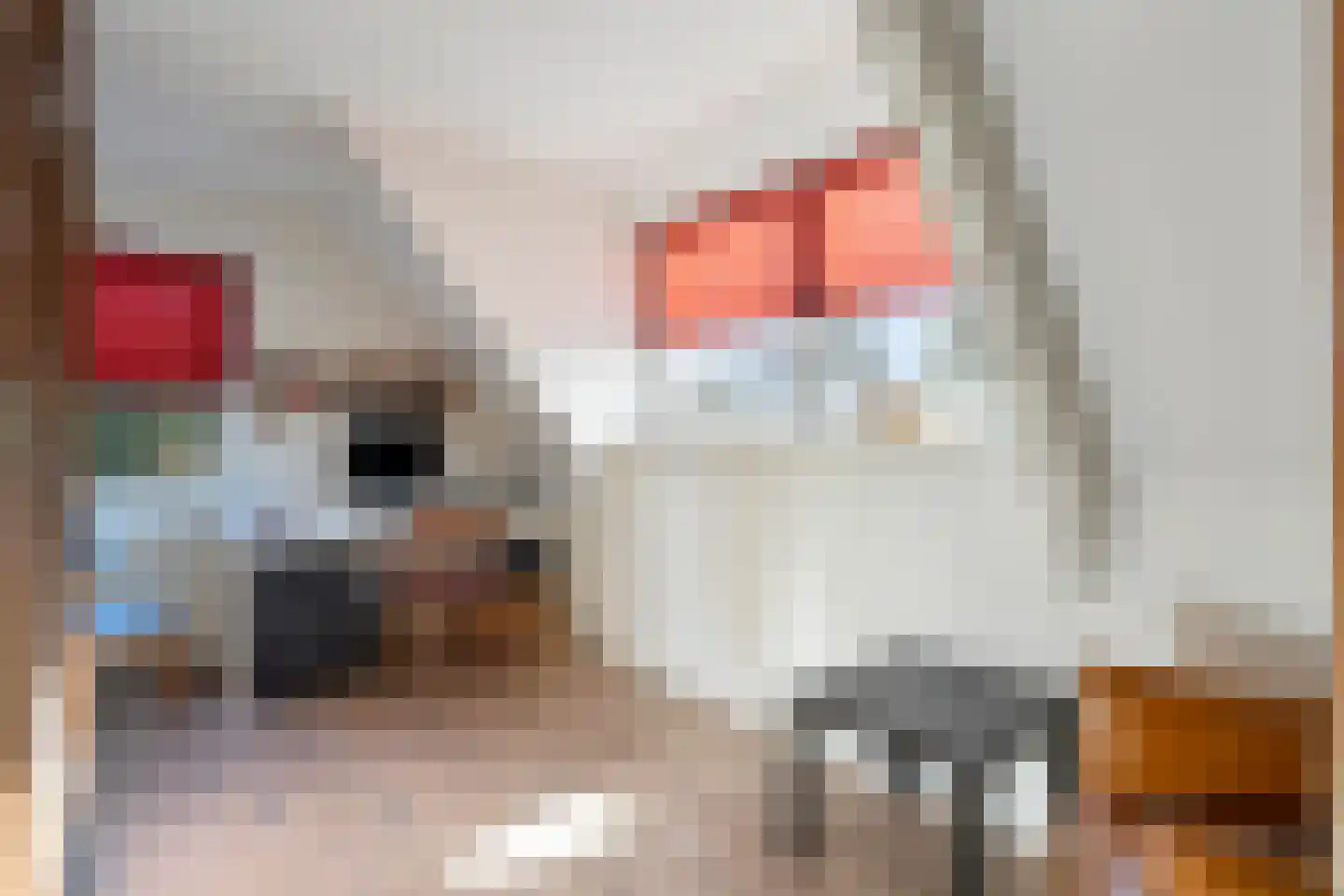 Bijvoetstraat 14 Dongen thumbnail 25