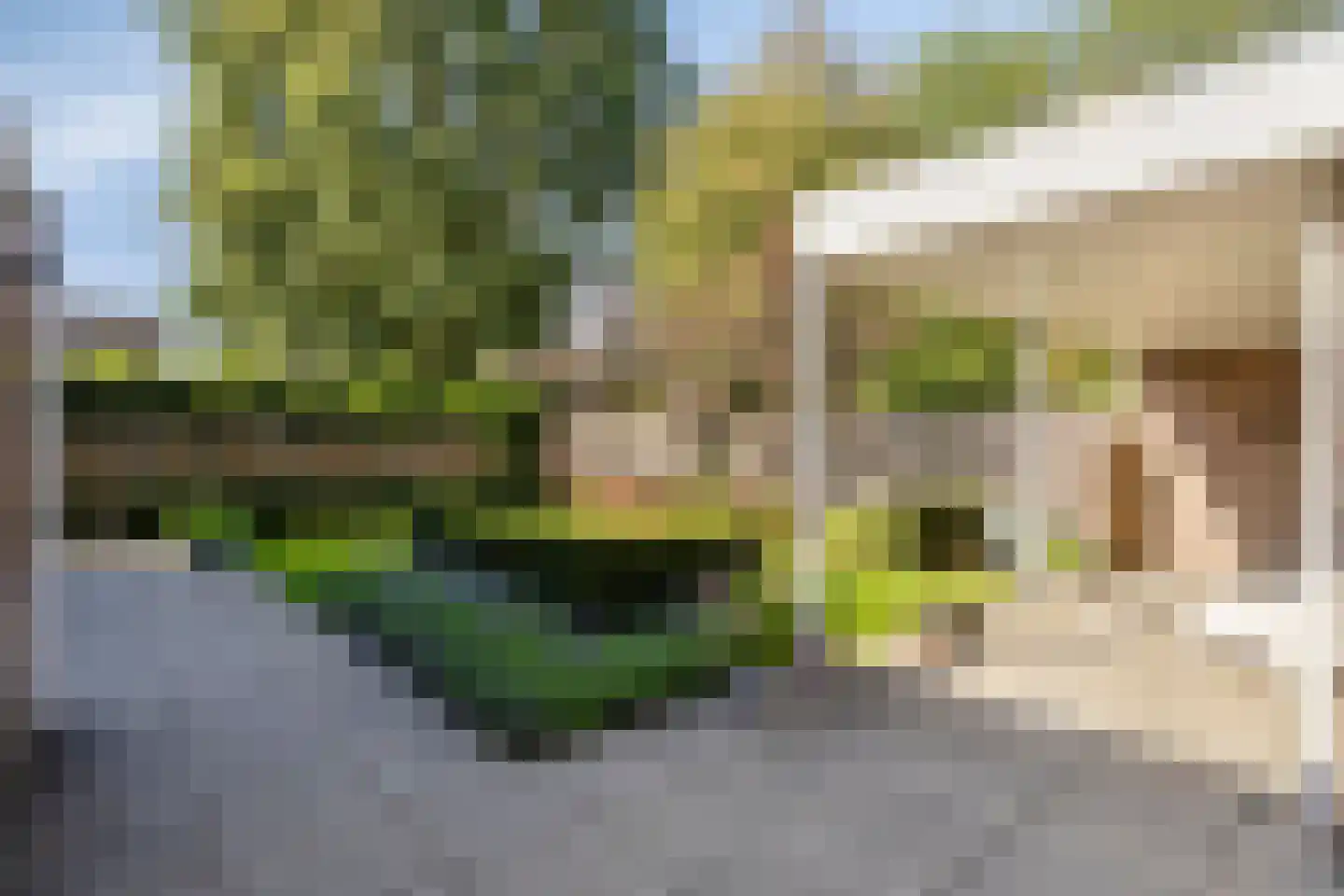 Bijvoetstraat 14 Dongen thumbnail 28
