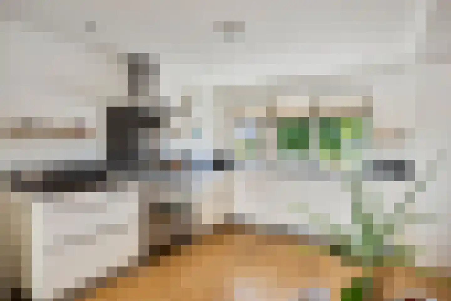 Bijvoetstraat 14 Dongen thumbnail 4