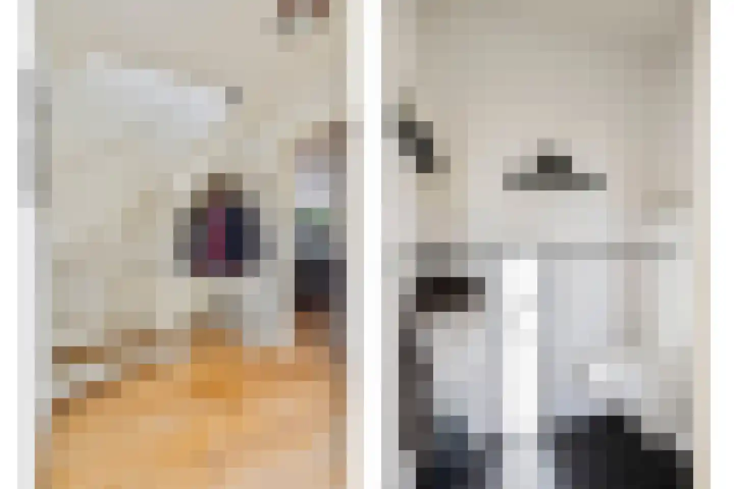 Bijvoetstraat 14 Dongen thumbnail 9