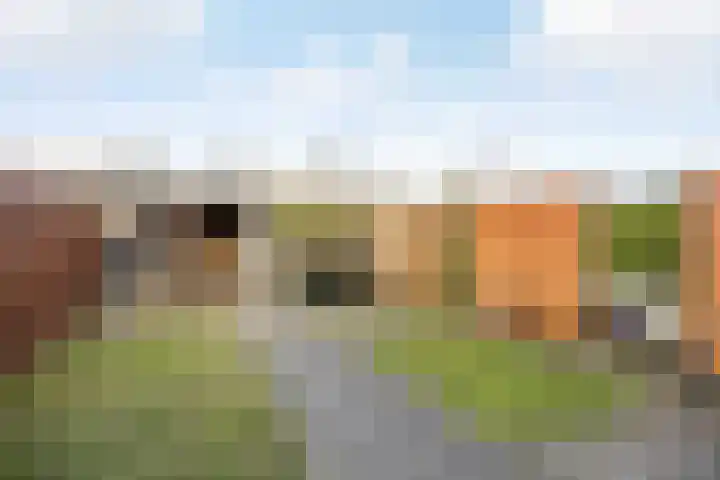 Bijvoetstraat 27 Groningen thumbnail 32