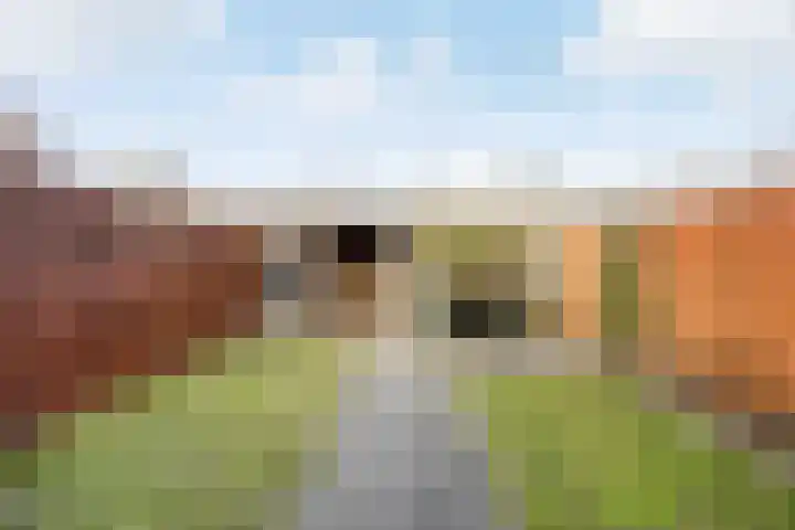 Bijvoetstraat 27 Groningen thumbnail 33
