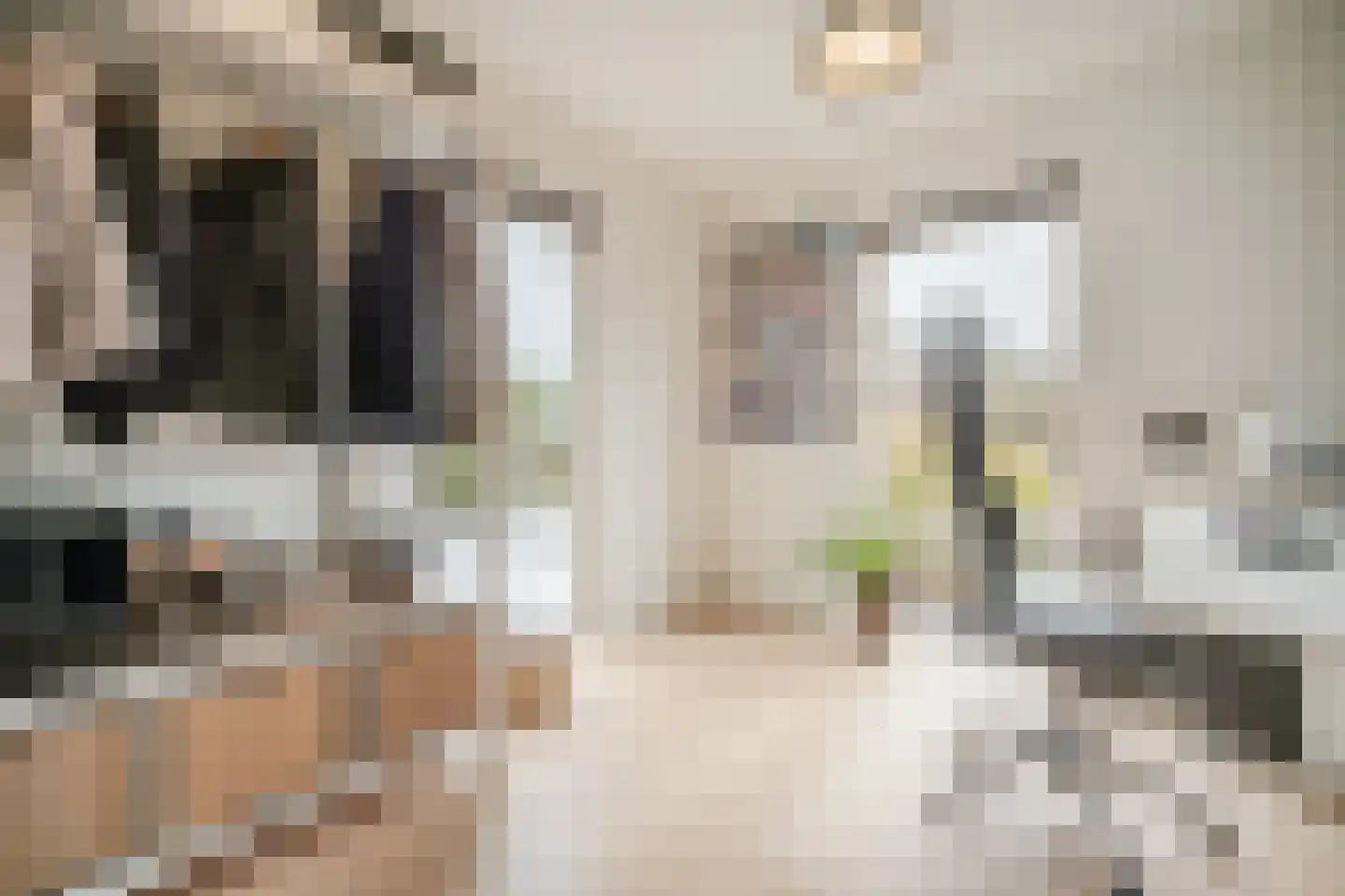 Bijvoetstraat 28 Dongen thumbnail 10