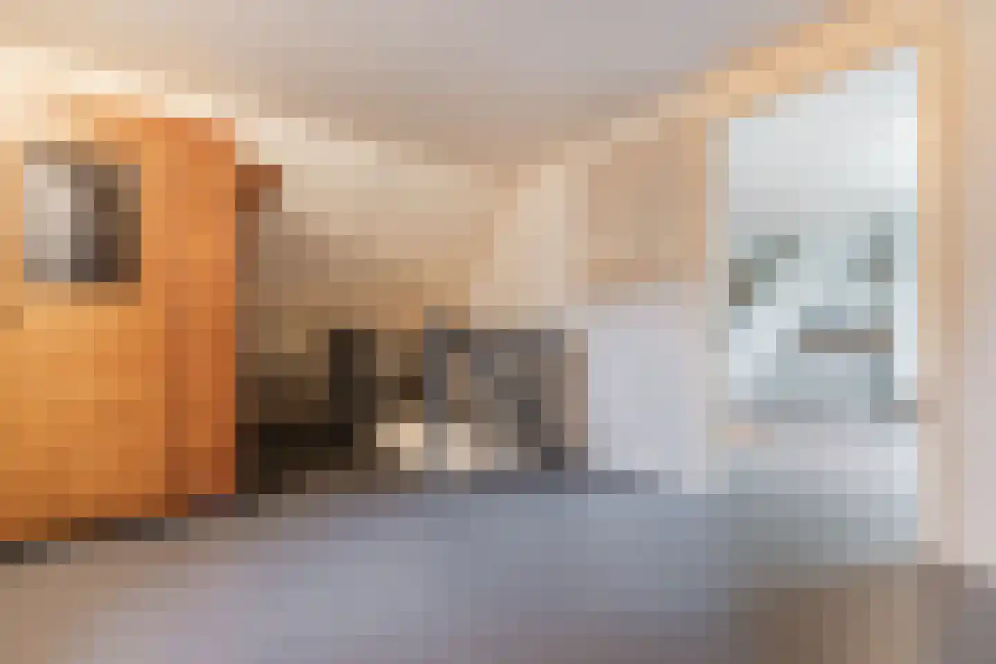 Bijvoetstraat 28 Dongen thumbnail 100