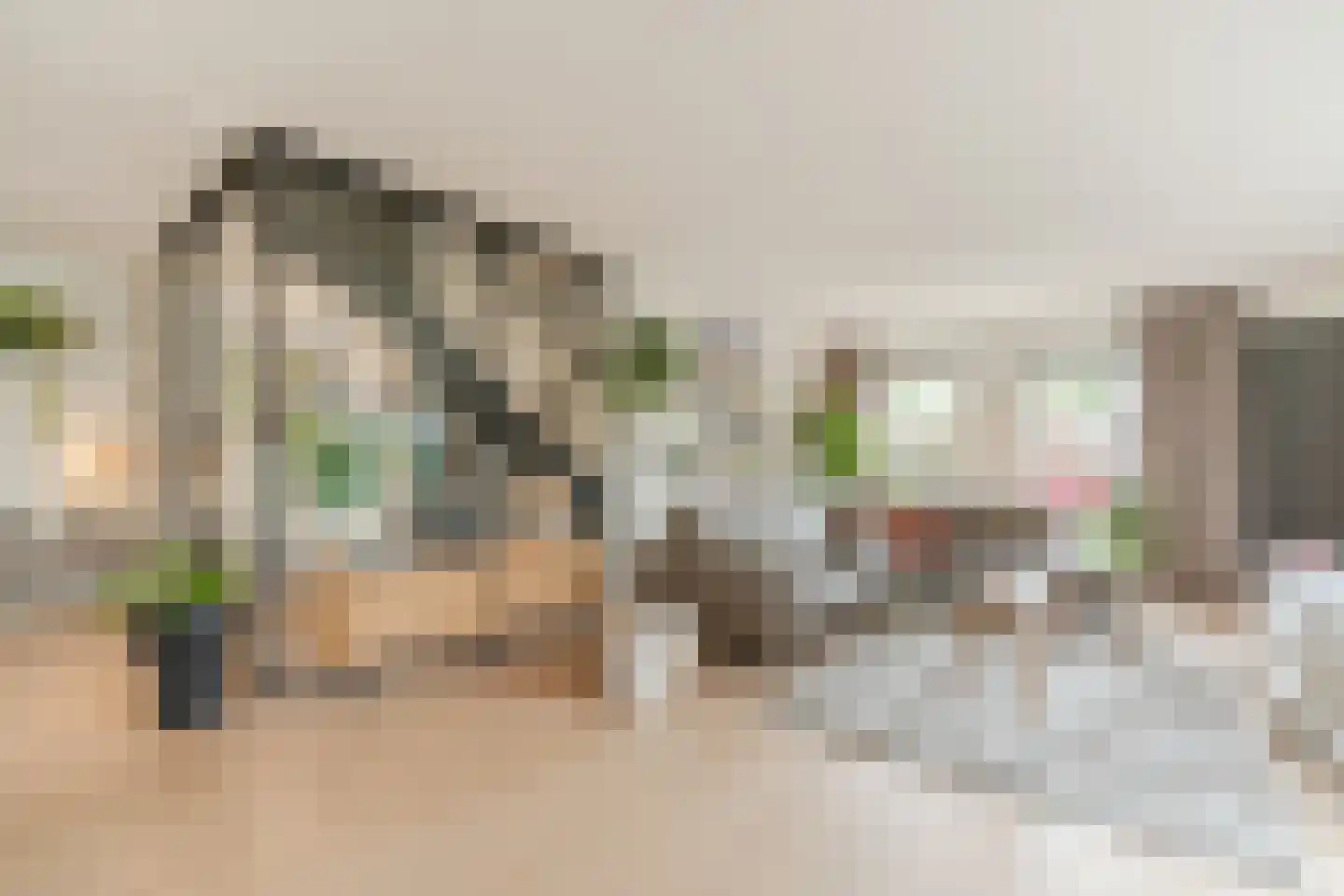 Bijvoetstraat 28 Dongen thumbnail 12