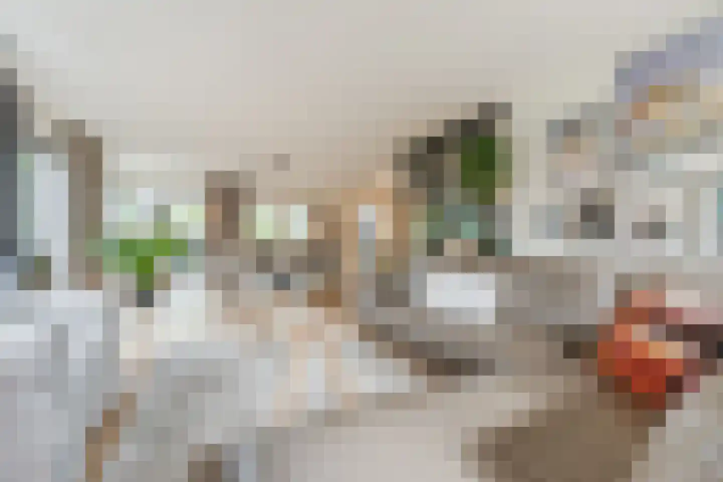 Bijvoetstraat 28 Dongen thumbnail 16