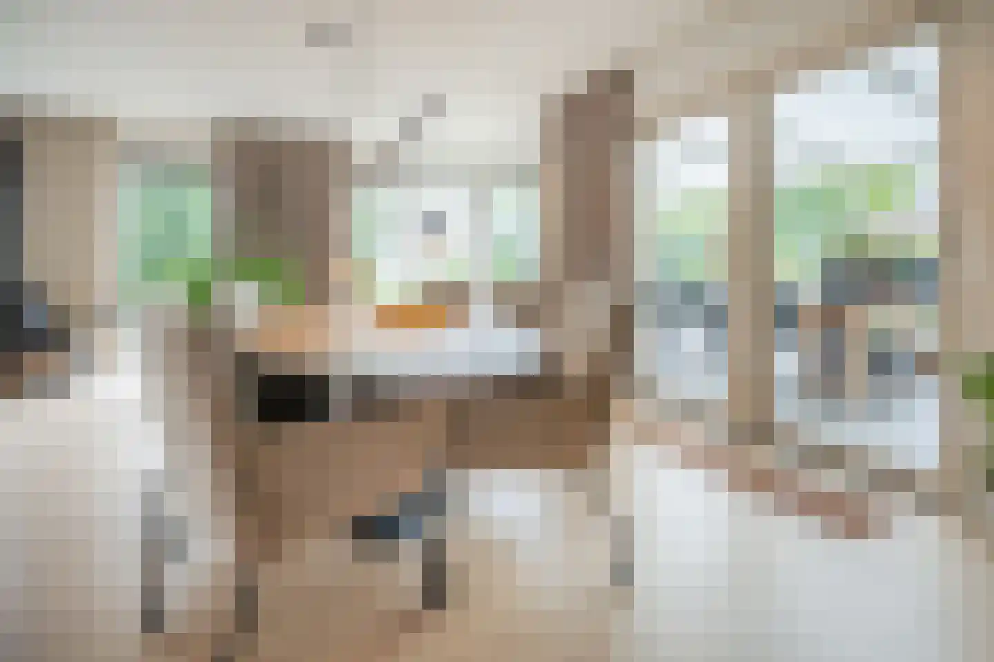 Bijvoetstraat 28 Dongen thumbnail 20