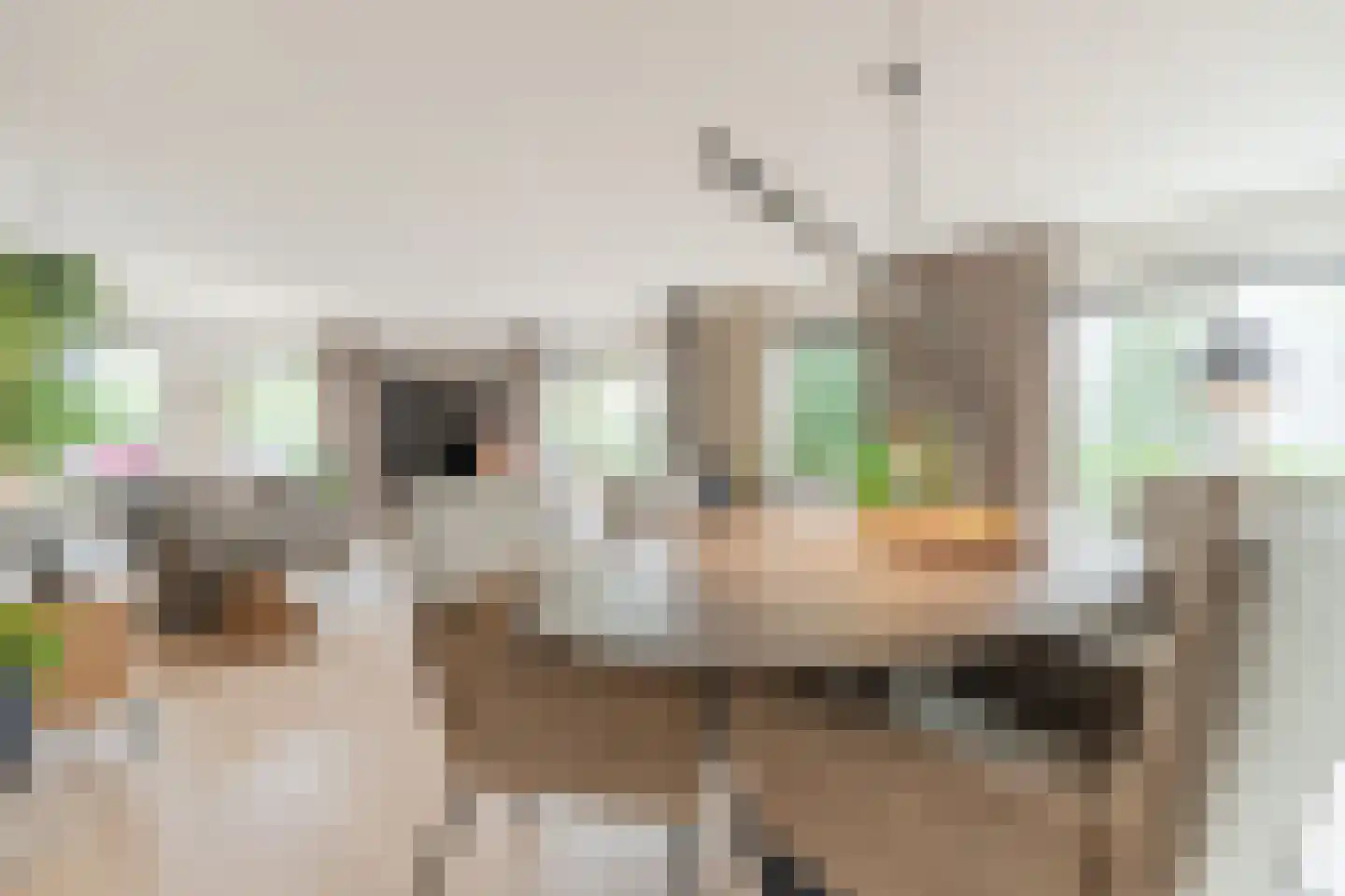 Bijvoetstraat 28 Dongen thumbnail 21
