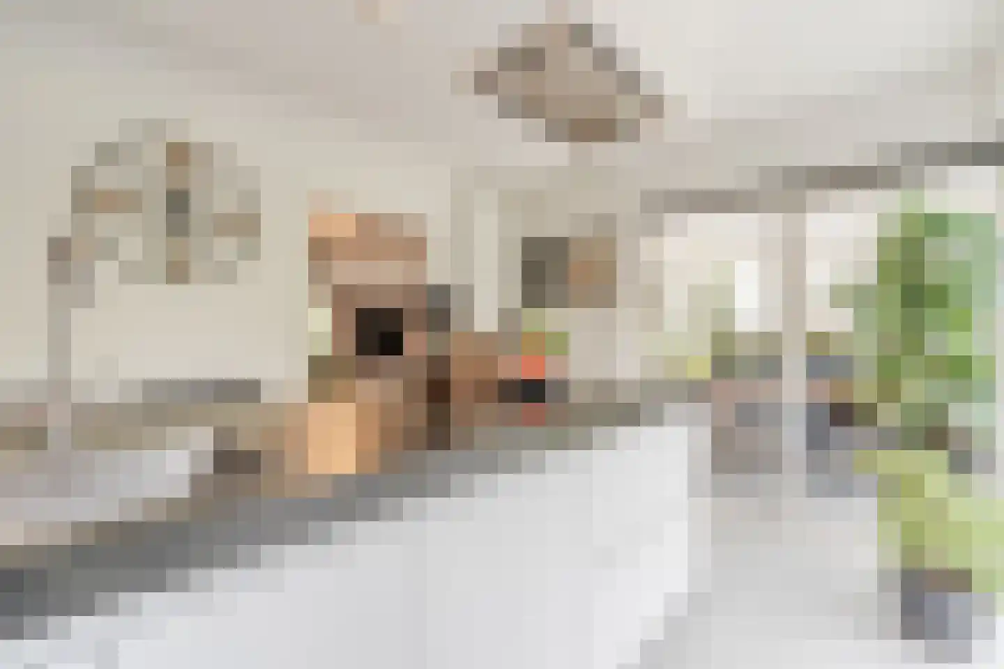 Bijvoetstraat 28 Dongen thumbnail 26