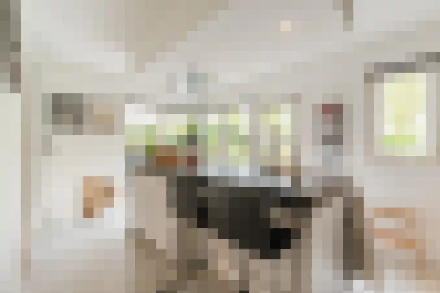 Bijvoetstraat 28 Dongen thumbnail 28