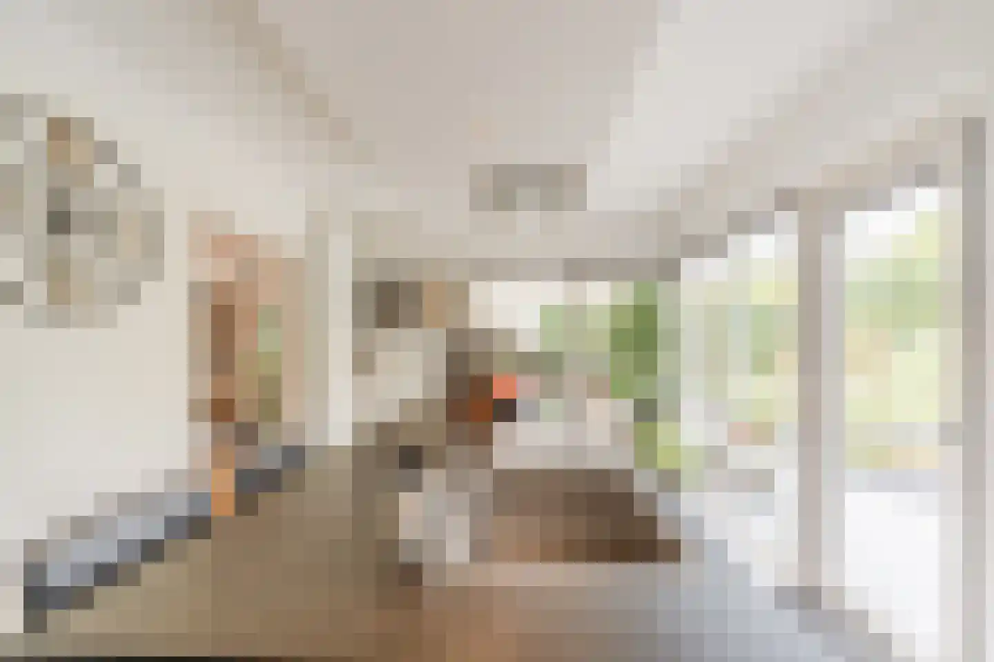 Bijvoetstraat 28 Dongen thumbnail 29