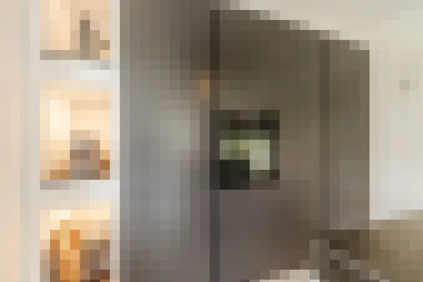 Bijvoetstraat 28 Dongen thumbnail 31