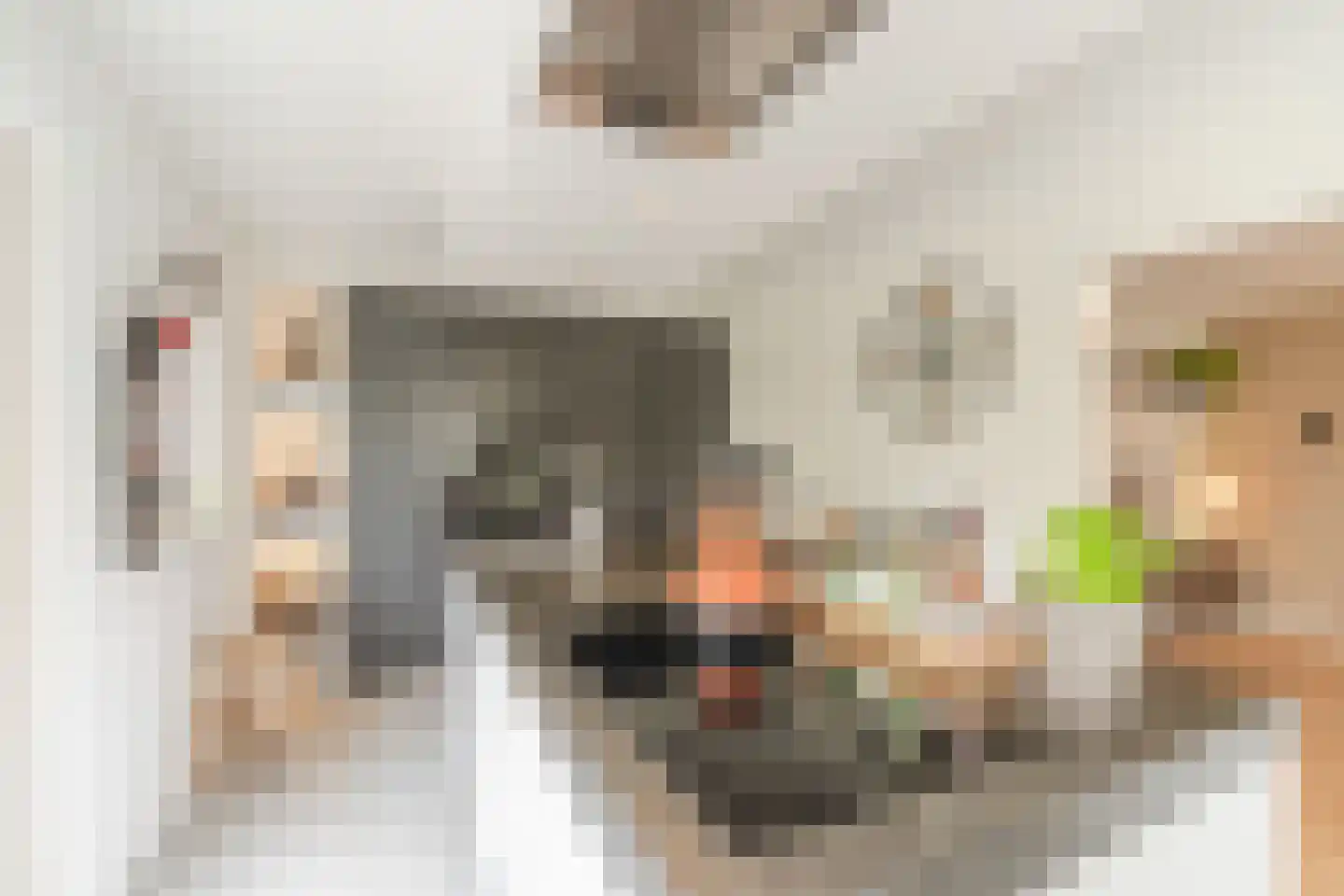 Bijvoetstraat 28 Dongen thumbnail 32