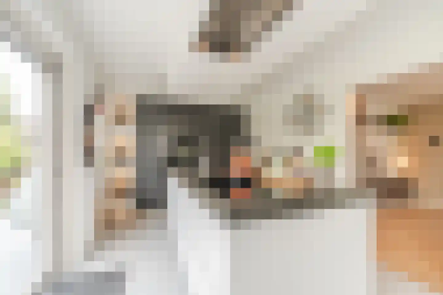 Bijvoetstraat 28 Dongen thumbnail 33