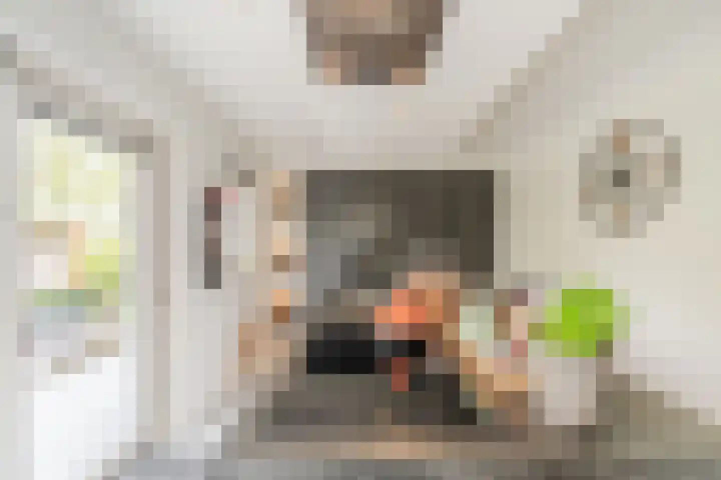 Bijvoetstraat 28 Dongen thumbnail 34