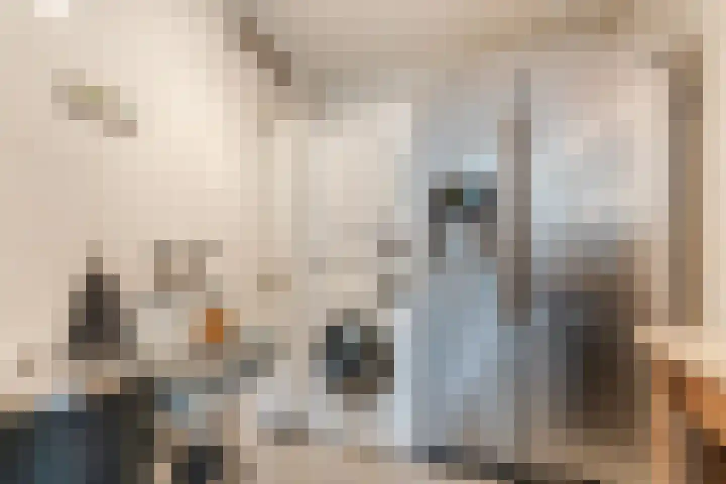 Bijvoetstraat 28 Dongen thumbnail 36