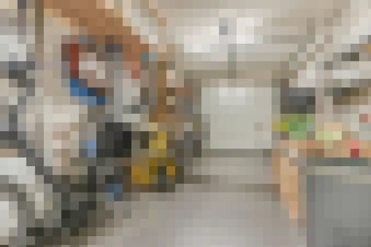 Bijvoetstraat 28 Dongen thumbnail 38