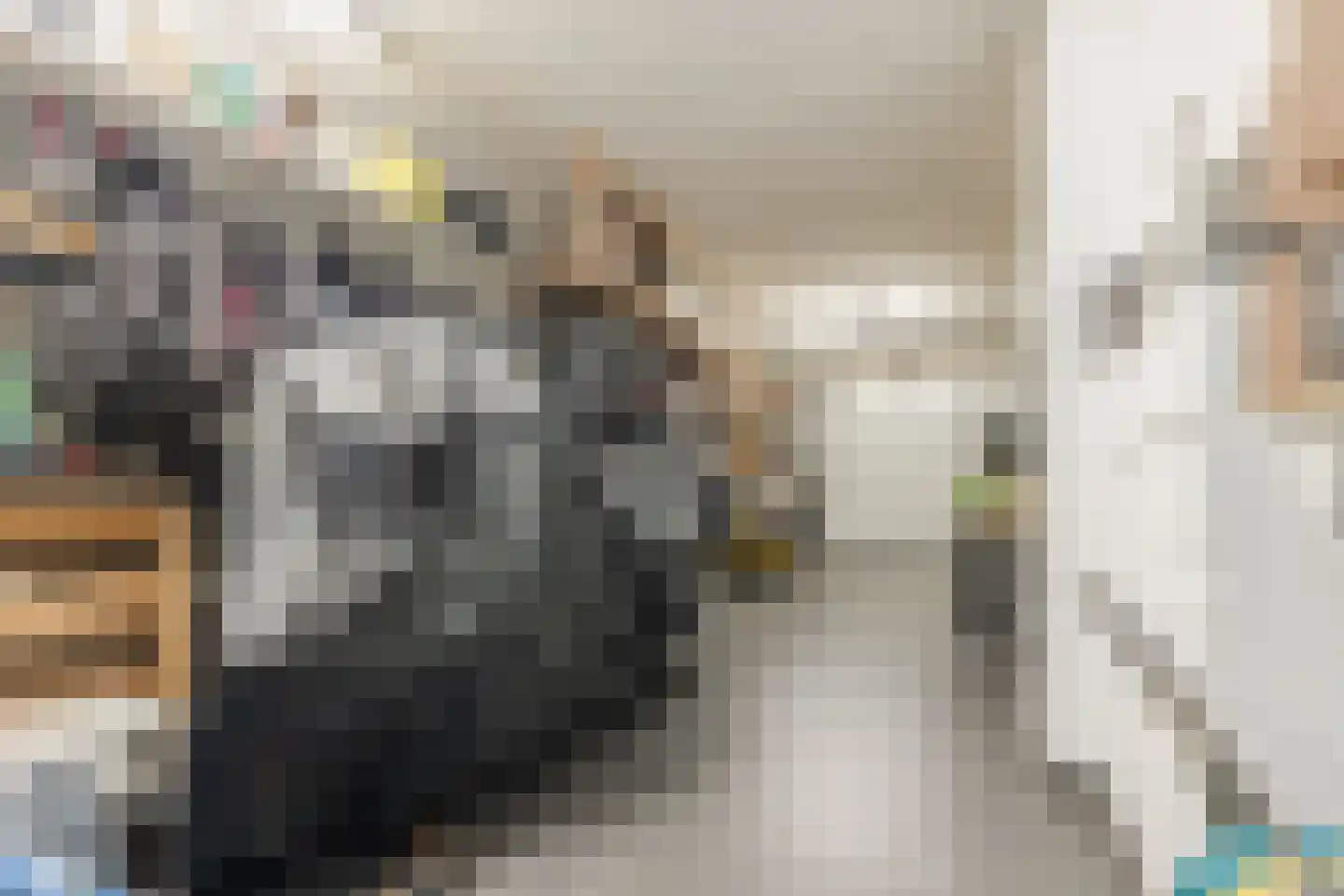 Bijvoetstraat 28 Dongen thumbnail 40