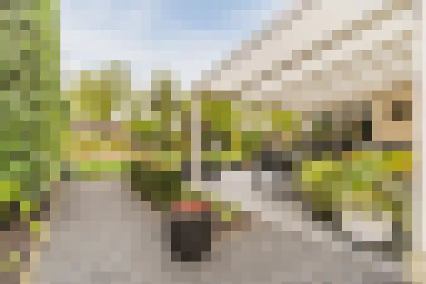 Bijvoetstraat 28 Dongen thumbnail 42