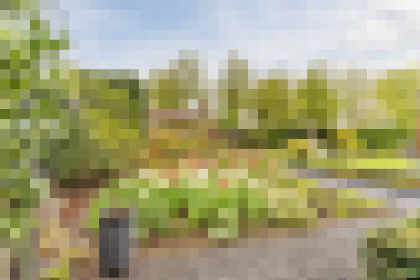 Bijvoetstraat 28 Dongen thumbnail 47