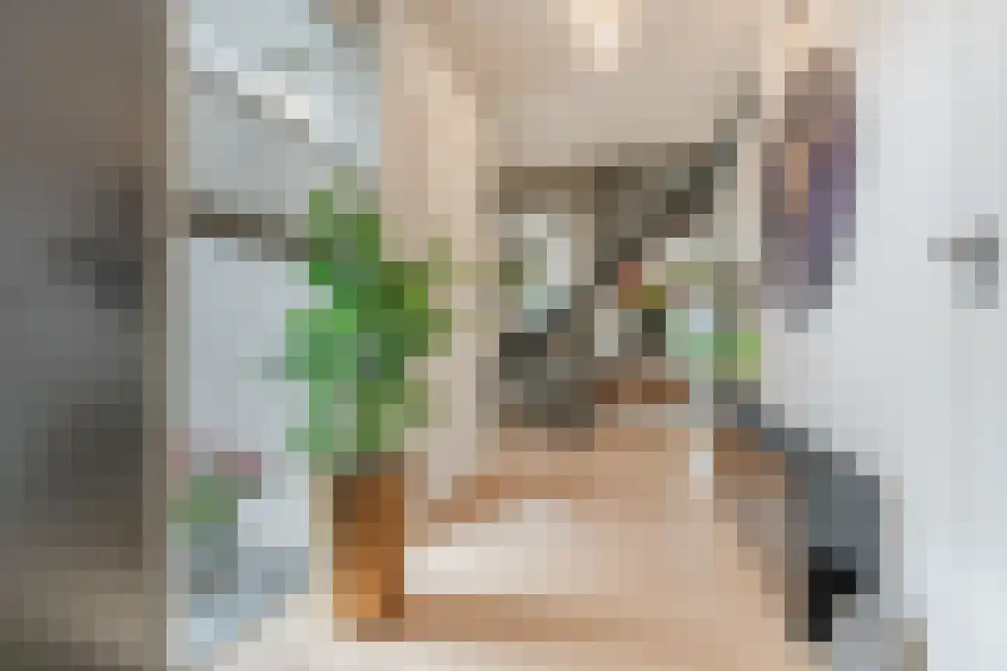 Bijvoetstraat 28 Dongen thumbnail 5