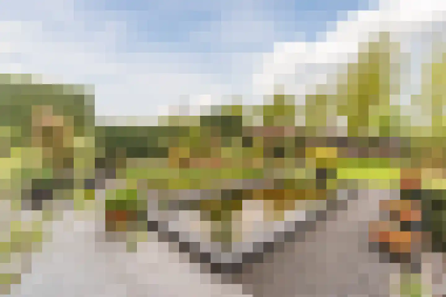 Bijvoetstraat 28 Dongen thumbnail 53