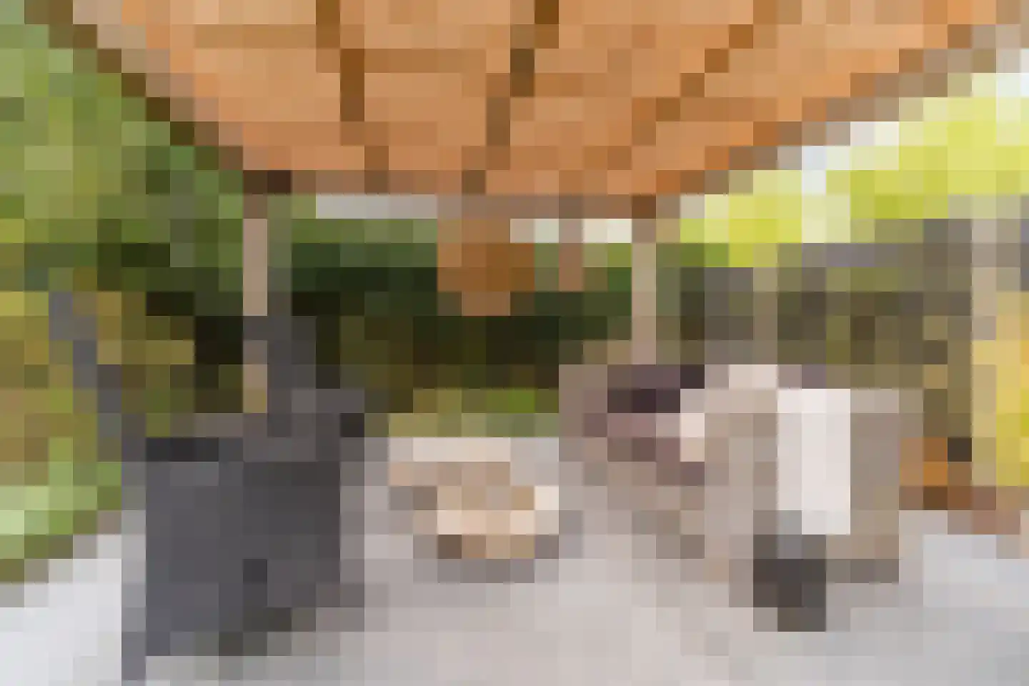 Bijvoetstraat 28 Dongen thumbnail 54