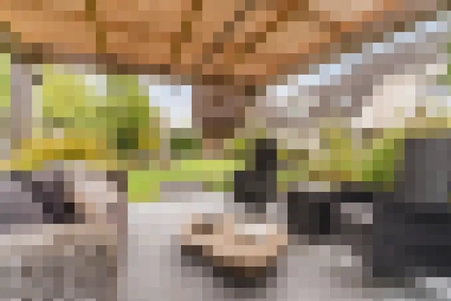 Bijvoetstraat 28 Dongen thumbnail 55
