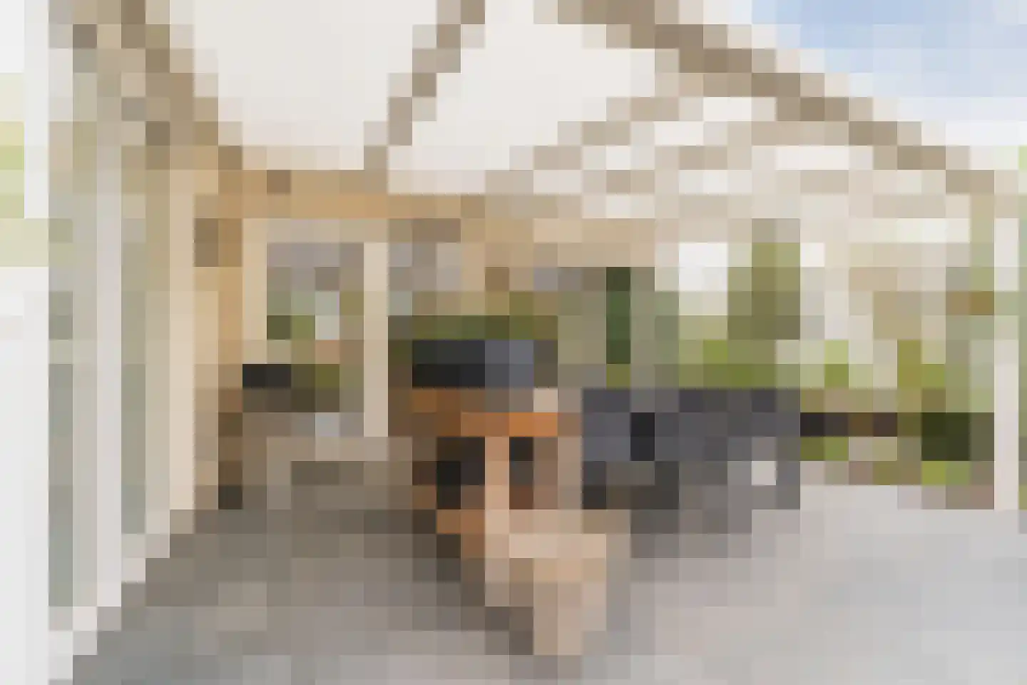 Bijvoetstraat 28 Dongen thumbnail 56