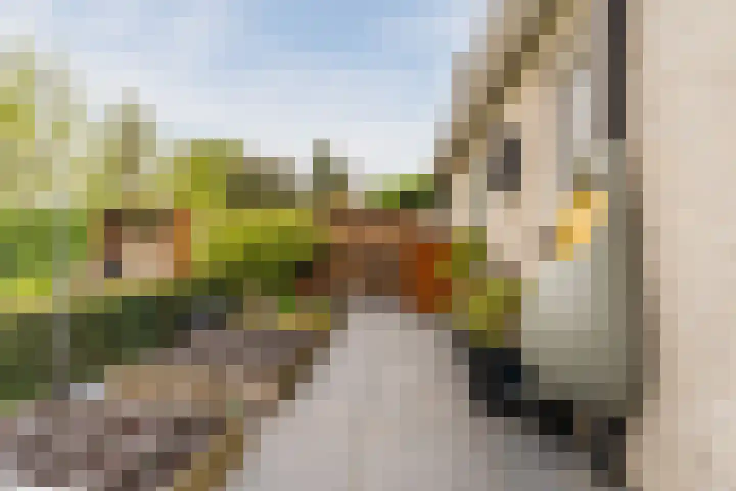Bijvoetstraat 28 Dongen thumbnail 66
