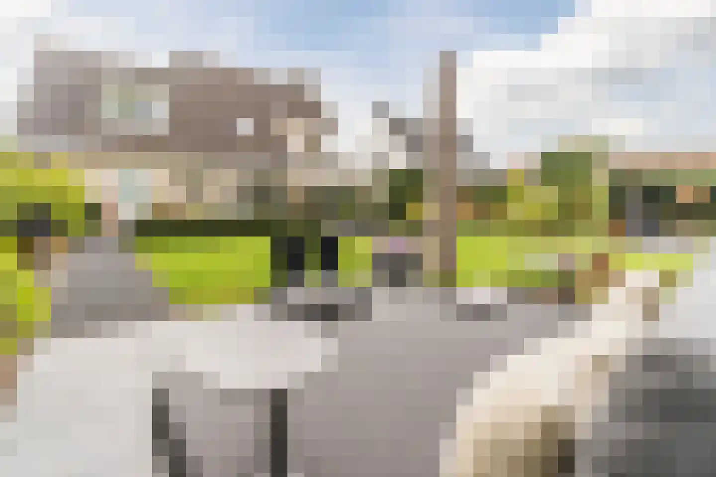 Bijvoetstraat 28 Dongen thumbnail 67