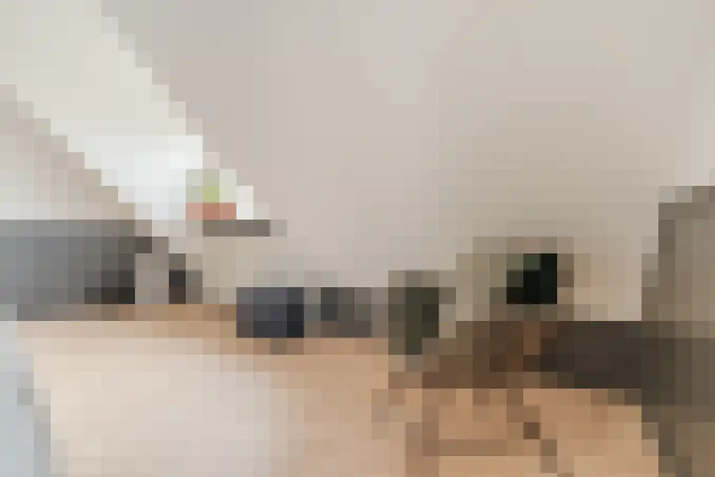 Bijvoetstraat 28 Dongen thumbnail 76