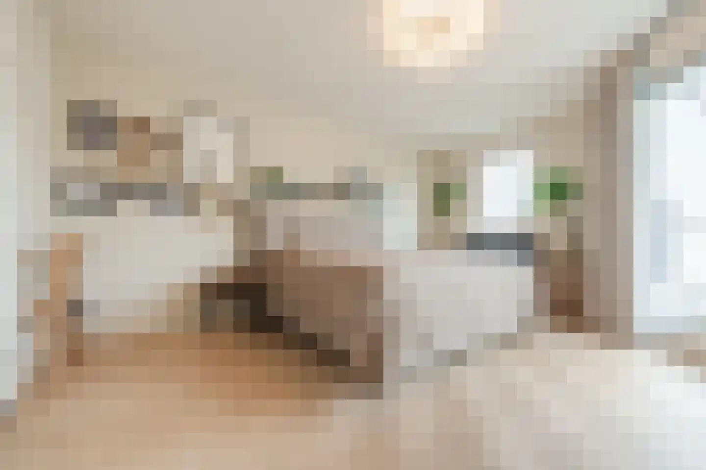 Bijvoetstraat 28 Dongen thumbnail 77