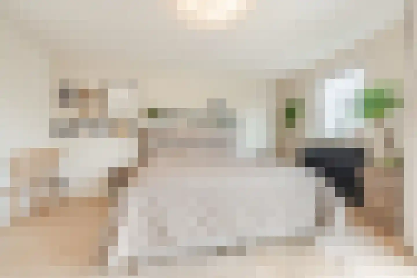 Bijvoetstraat 28 Dongen thumbnail 78