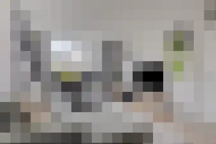 Bijvoetstraat 33 Groningen thumbnail 10