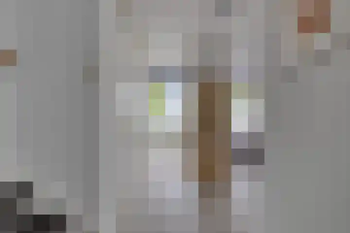 Bijvoetstraat 33 Groningen thumbnail 18