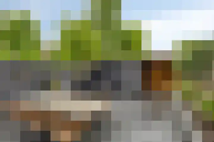 Bijvoetstraat 33 Groningen thumbnail 37