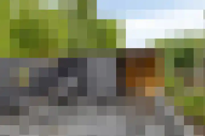 Bijvoetstraat 33 Groningen thumbnail 40