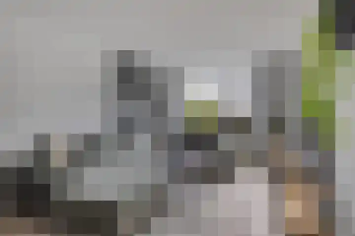 Bijvoetstraat 33 Groningen thumbnail 9