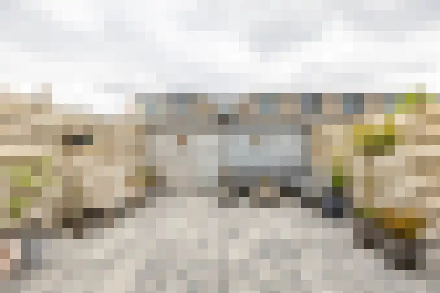 Bijvoetstraat 42 Groningen thumbnail 4