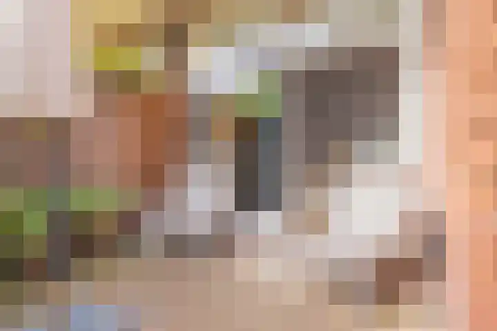 Bijweglaan 7 Bennebroek thumbnail 14